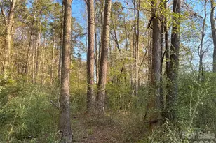 161 Little River Trail, Indian Land, SC 29707 - Photo 1