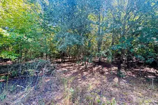 Lot 167 Brangus Ln, Cheraw, SC 29520 - Photo 1