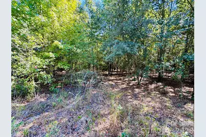 Lot 167 Brangus Lane, Cheraw, SC 29520 - Photo 3