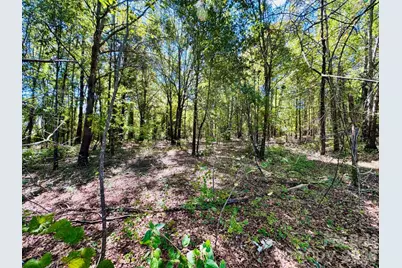 Lot 167 Brangus Lane, Cheraw, SC 29520 - Photo 5