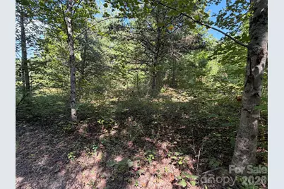 Tbd Southern Way, Nebo, NC 28761 - Photo 19