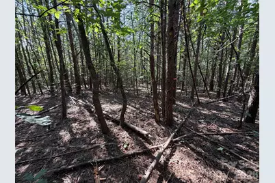 Tbd Southern Way, Nebo, NC 28761 - Photo 41