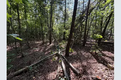 Tbd Southern Way, Nebo, NC 28761 - Photo 47
