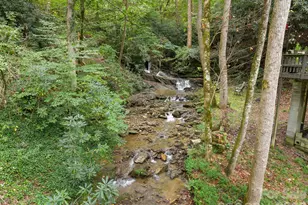 1000 Cane Creek Rd, Sylva, NC 28779 - Photo 7