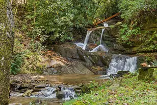 1000 Cane Creek Rd, Sylva, NC 28779 - Photo 43
