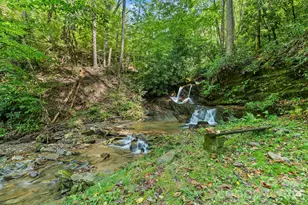 1000 Cane Creek Rd, Sylva, NC 28779 - Photo 19