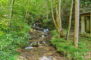 1000 Cane Creek Rd, Sylva, NC 28779 - Photo 41