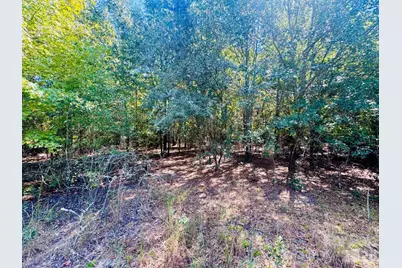 Lot 166 Brangus Lane, Cheraw, SC 29520 - Photo 1