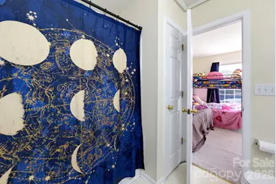 4012 Ashby Lane, Indian Land, SC 29707 - Photo 17