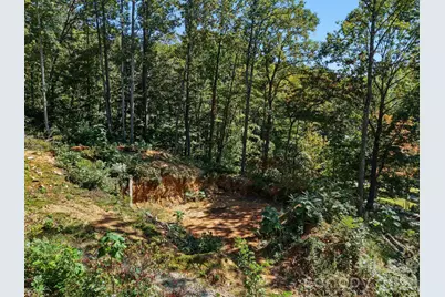 6 Pioneer Lane, Hendersonville, NC 28792 - Photo 7