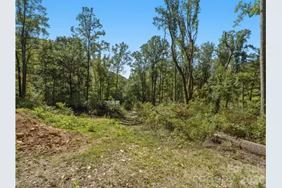 6 Pioneer Lane, Hendersonville, NC 28792 - Photo 19