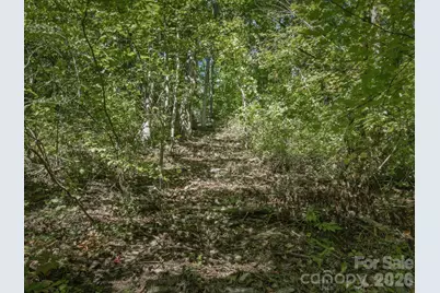 6 Pioneer Lane, Hendersonville, NC 28792 - Photo 23