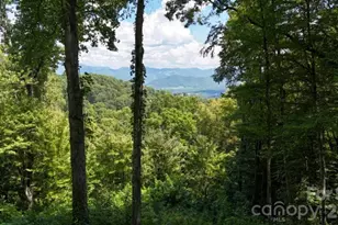 2222 Sleepy Hollow Dr, Waynesville, NC 28785 - Photo 7