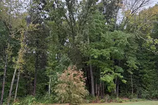 12237 Gambrell Dr, Charlotte, NC 28278 - Photo 23