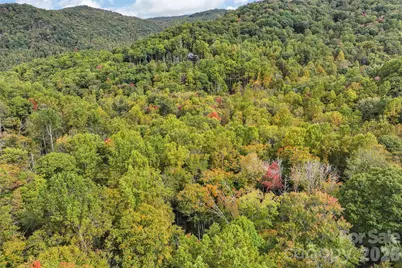 45 Smoke Vine Trail, Clyde, NC 28721 - Photo 31