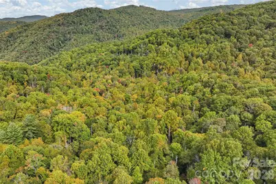 45 Smoke Vine Trail, Clyde, NC 28721 - Photo 29