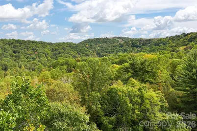 45 Smoke Vine Trail, Clyde, NC 28721 - Photo 33