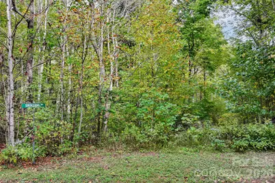 45 Smoke Vine Trail, Clyde, NC 28721 - Photo 23