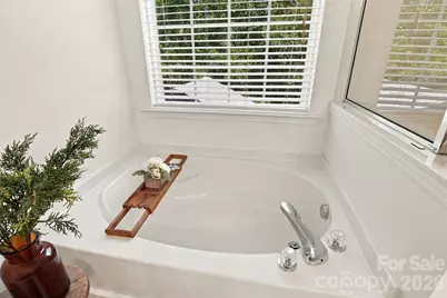 230 River Clay Road, Fort Mill, SC 29708 - Photo 27