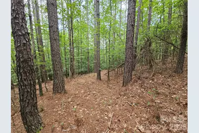 0 Broadwater Drive #167, Granite Falls, NC 28630 - Photo 7
