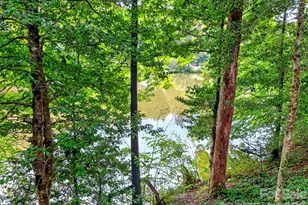 138 Gowan Point, Marion, NC 28752 - Photo 31