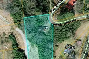51 Shepherd St, Tryon, NC 28782 - Photo 45