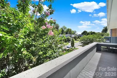 1243 Realta Drive, Charlotte, NC 28211 - Photo 21