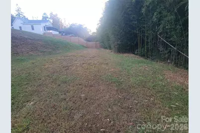 54 Anne Street, Canton, NC 28716 - Photo 9