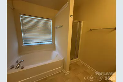 8560 Magnolia Springs Drive, Harrisburg, NC 28075 - Photo 21