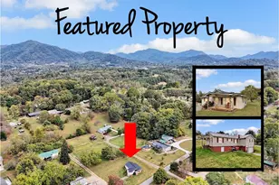 280 Mingus St, Canton, NC 28716 - Photo 3