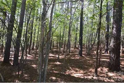 4001 Deer Park Lane #271-A, Belmont, NC 28012 - Photo 5