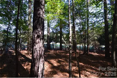 4001 Deer Park Lane #271-A, Belmont, NC 28012 - Photo 7
