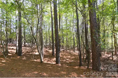 4001 Deer Park Lane #271-A, Belmont, NC 28012 - Photo 11