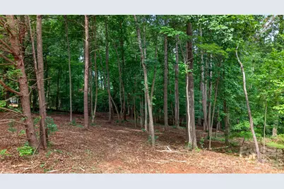 7124 Nancy Lee Circle, Sherrills Ford, NC 28673 - Photo 7