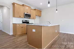 3107 Aberleaf Ln, Charlotte, NC 28227 - Photo 3