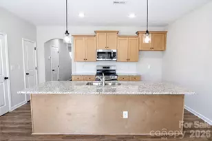 3107 Aberleaf Ln, Charlotte, NC 28227 - Photo 7
