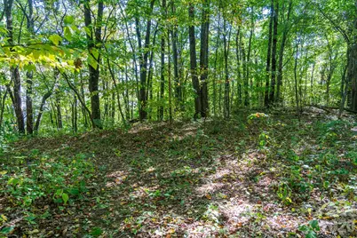 00 Orion Davis Road, Waynesville, NC 28786 - Photo 29