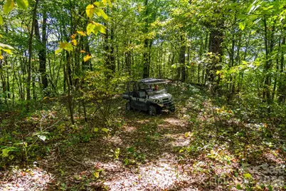 00 Orion Davis Road, Waynesville, NC 28786 - Photo 15