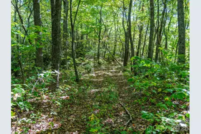 00 Orion Davis Road, Waynesville, NC 28786 - Photo 25