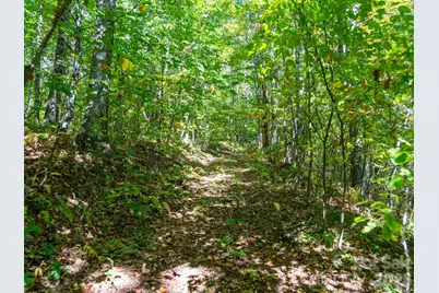 00 Orion Davis Road, Waynesville, NC 28786 - Photo 27