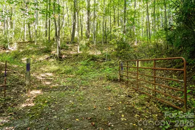 00 Orion Davis Road, Waynesville, NC 28786 - Photo 3