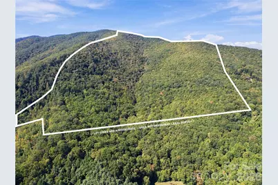 00 Orion Davis Road, Waynesville, NC 28786 - Photo 1