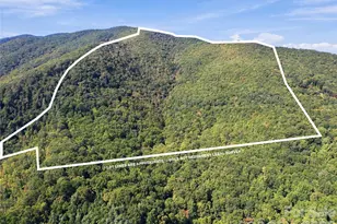 00 Orion Davis Rd, Waynesville, NC 28786 - Photo 1