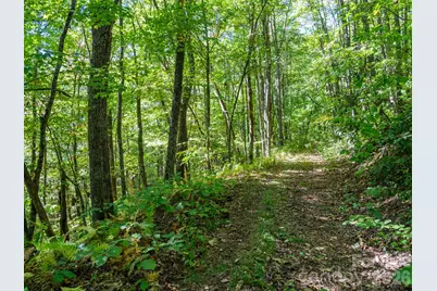 00 Orion Davis Road, Waynesville, NC 28786 - Photo 33
