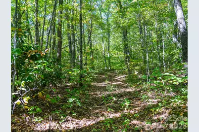 00 Orion Davis Road, Waynesville, NC 28786 - Photo 23