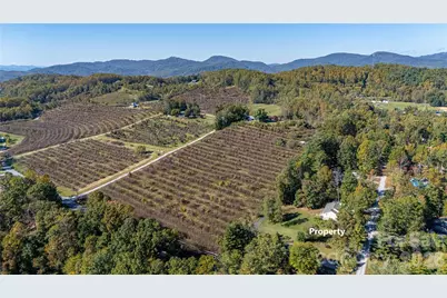 3 Edna Oaks Road, Hendersonville, NC 28792 - Photo 41