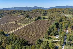 3 Edna Oaks Rd, Hendersonville, NC 28792 - Photo 41