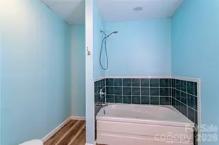 3 Edna Oaks Rd, Hendersonville, NC 28792 - Photo 29