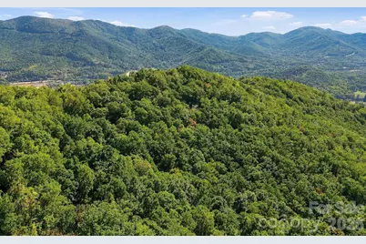 99999 Harrison Hill Road, Swannanoa, NC 28778 - Photo 17