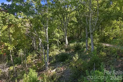 99999 Harrison Hill Road, Swannanoa, NC 28778 - Photo 13